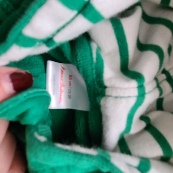 Hanna Andersson Green Kids Jacket with Hood - Picture 2 of 2